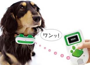 bowlingual bowlingual