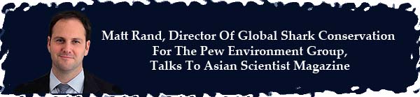 Matt Rand, Director of the Global Shark Conservation for the Pew Environment Group