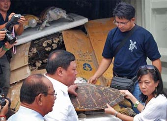 wildlife-trafficking-asia