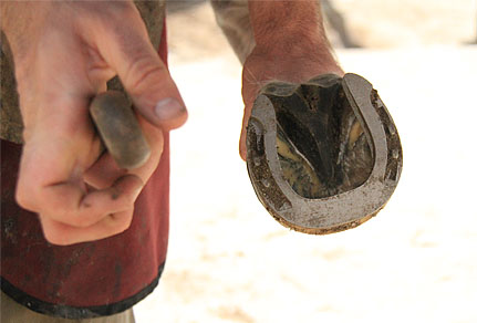 Holly’s new 3D printed Christmas shoes (Photo: CSIRO)