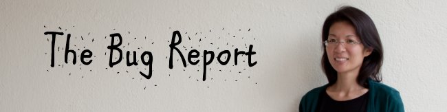 The Bug Report