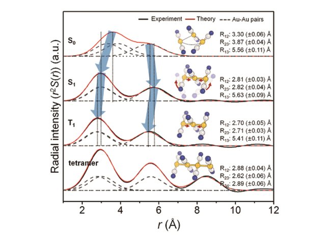 Observed changes in the molecular structure of the gold complex. Credit: KEK.