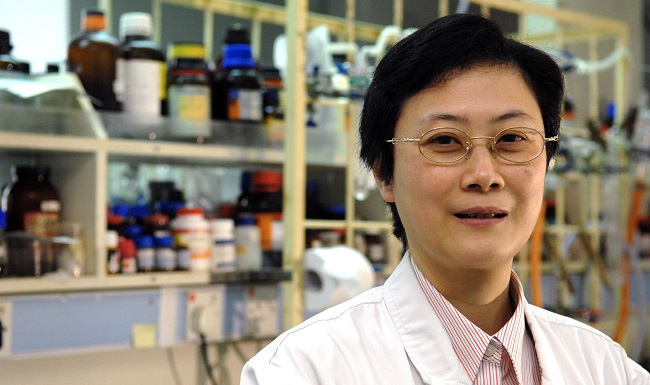 HKU's Vivian Yam Wins The 2015 Ludwig Mond Award