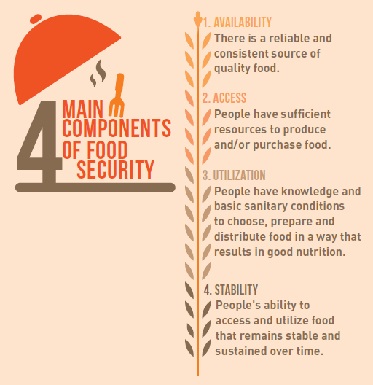 The Four Main Components of Food Security. Credit: Asian Scientist Magazine.