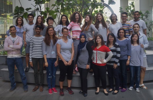 The Reversade lab. Credit: Bruno Reversade.