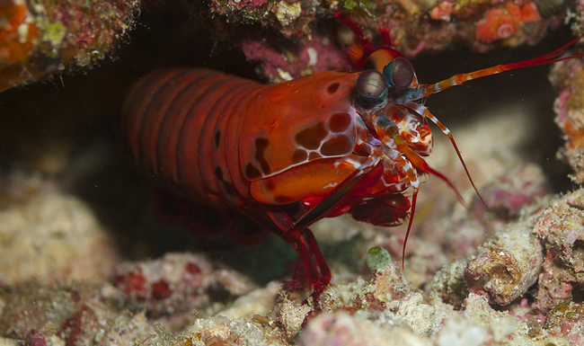 Photo: Elias Levy/Flickr/CC