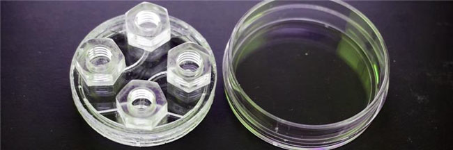 The insert (left) and the matching petri dish (right). Credit: OIST