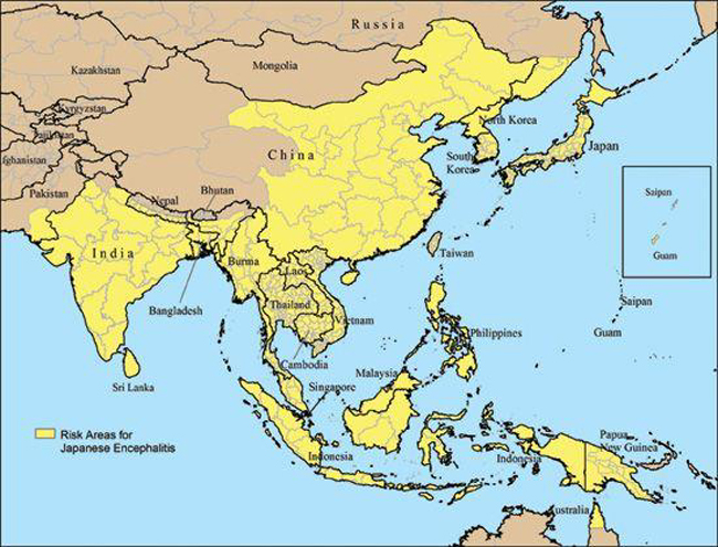 The geographic distribution of Japanese encephalitis (in yellow) is shown. Credit: Chinese Center for Disease Control and Prevention