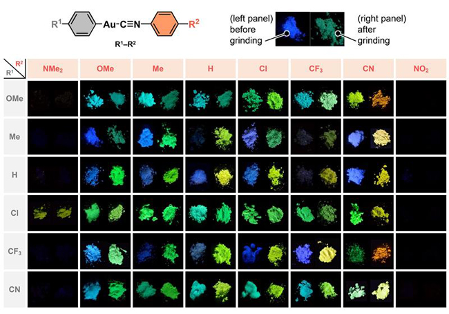 48 organic compounds containing gold atoms. Compounds before and after mechanical stimulation are shown on the left and right in each panel, respectively. Credit: Seki T., Takamatsu Y. & Ito H./JACS