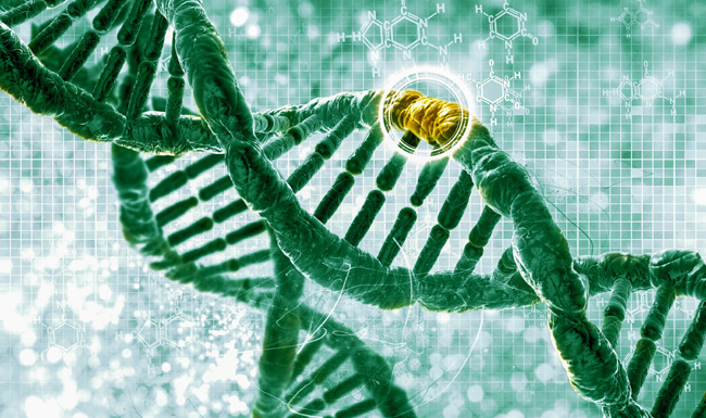 DNA gene editing mutation diseases shutterstock_242111533