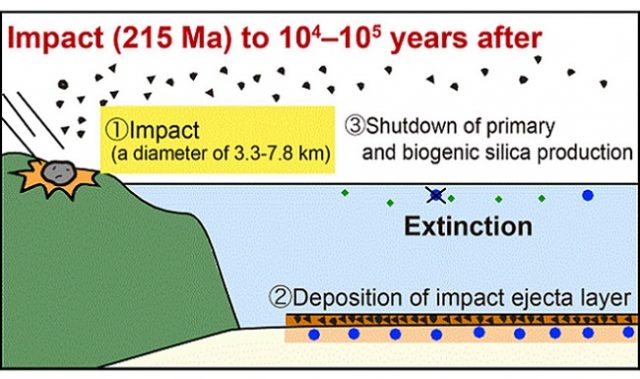 A Giant Meteorite Wiped Out Ancient Marine Organisms, Too