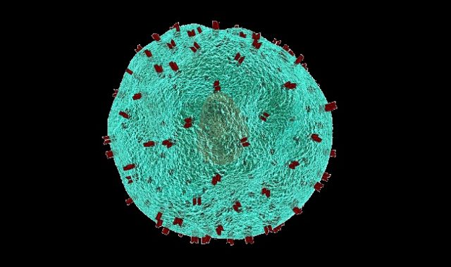 Scientists Discover T Cells That Play Hide-And-Seek With HIV