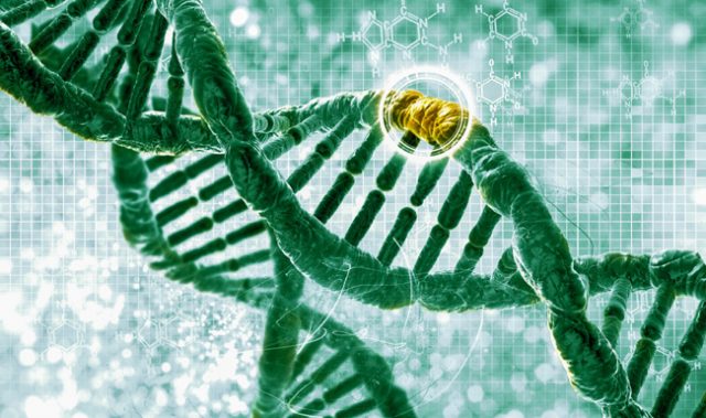 Introducing iCas, A Protein That Enables Precise Gene Editing