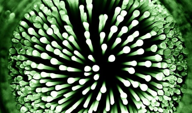 CAS Releases First Microbial Resource Development Report