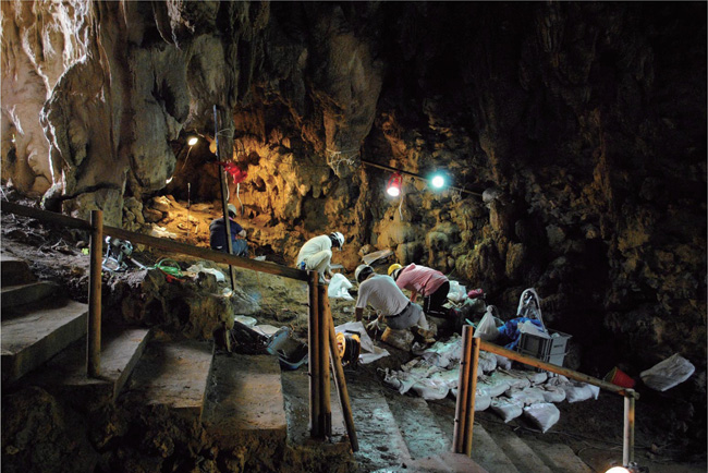 The excavation site in the Sakitari Cave. Photo: Masaki Fujita
