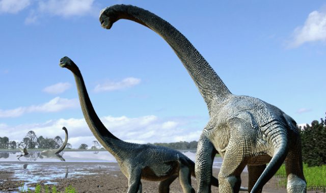 Titanosaurs Once Thundered Down Under