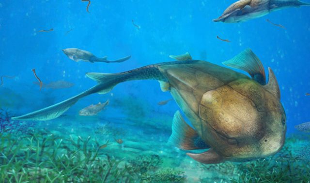 A Bite-Sized Lesson On Jaw Evolution