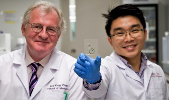 This Chip Can Detect Inflammation In Diabetics