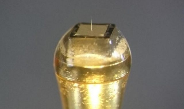 Micrometer-sized Silicon Electrodes To Study The Brain