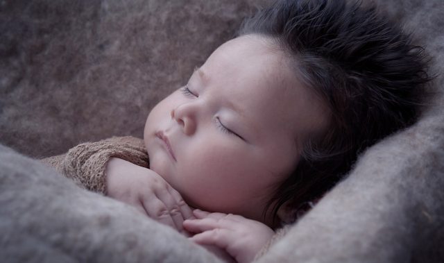 Meet Sleepy & Dreamless, Mice That Can’t Grab Forty Winks