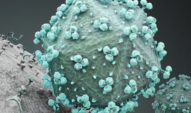 Using The Common Cold To Tackle HIV