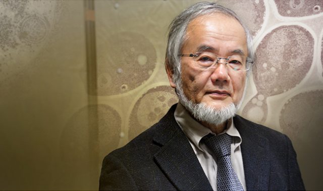 Yoshinori Ohsumi Wins US$3M Breakthrough Prize In Life Sciences