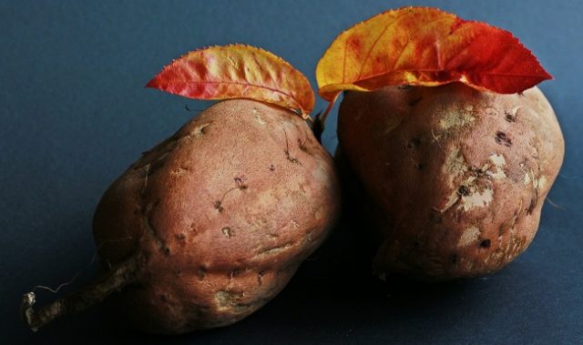 The Unexpected Slimming Effect Of Sweet Potato Waste