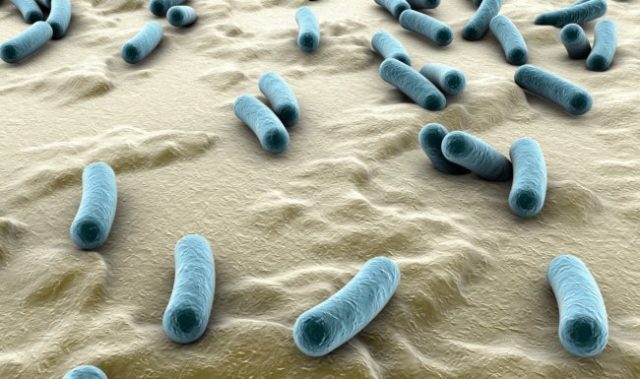 Mouth Bacteria Linked To Esophageal Cancer Prognosis