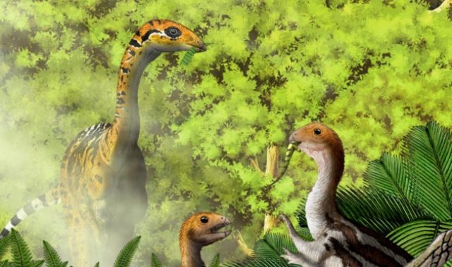 These Dinosaurs Traded Teeth For Beaks As They Grew