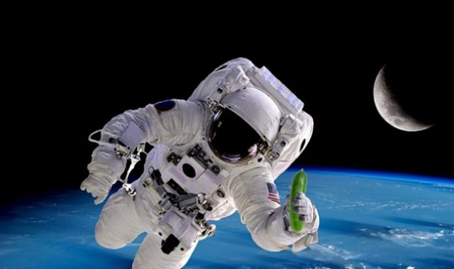 Space Cucumbers Spill The Secret Of Sensing Gravity