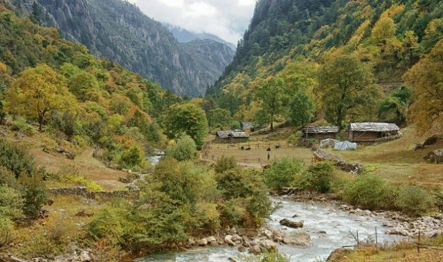 How Do Microbes Respond To Climate Change?