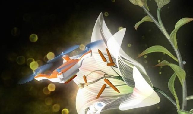 Bees Do It, Drones Do it