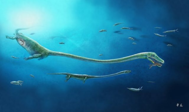 Pregnant Dinosaur Fossil Re-Writes The Rules Of Reproduction