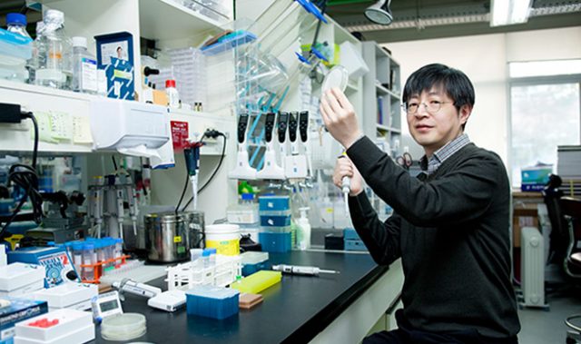 Gene Editing Researcher Receives ASAN Award In Basic Medicine