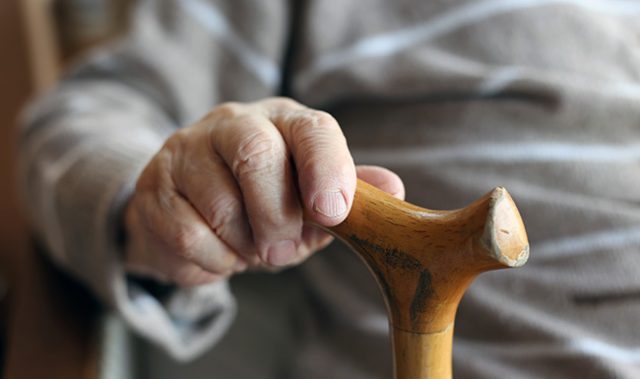 Why Progeria Patients Grow Old Before Their Time