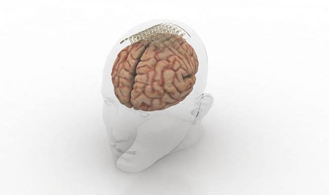 Gold & Graphene Make Brain Probes More Sensitive