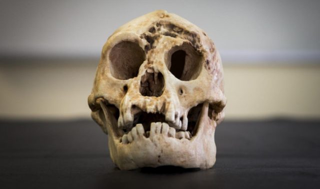 Indonesian ‘Hobbits’ May Have Come From Africa