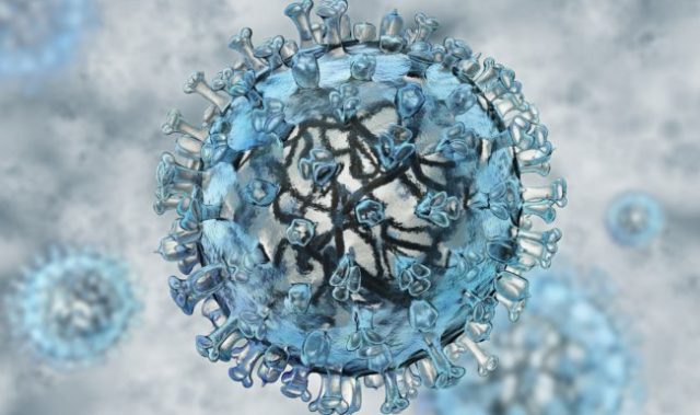 How The Dengue Virus Opens Up To Human Hosts