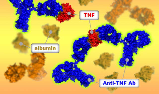 In Drug-Target Interactions, Size Matters