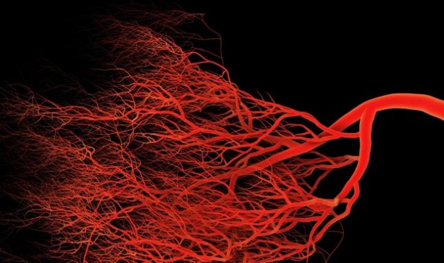 The Epigenetics Of Blood Vessel Formation