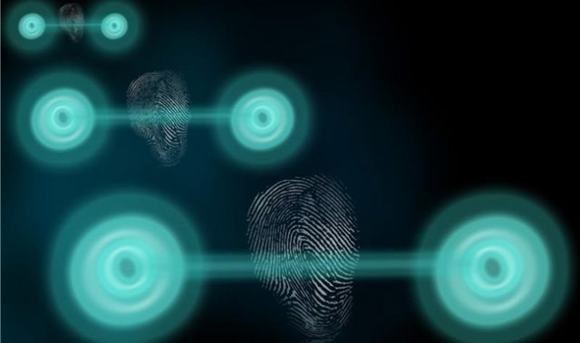Measuring The Fingerprints Of Quantum States