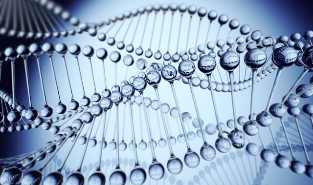 Artificial Cells Toughened Up With DNA