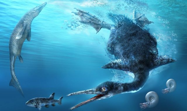 Rare Fossil Sheds Light On Bird Evolution