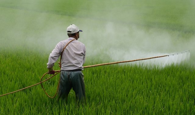 Ban Hazardous Pesticide To Prevent Farmer Suicides, Studies Say