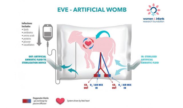 An Artificial Womb Offers Hope For Preemies