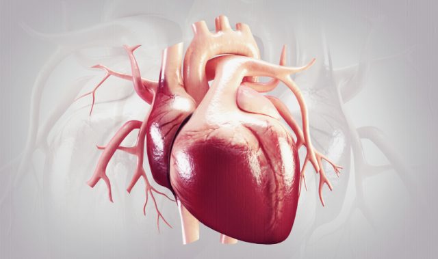 Mending The Heart With Living Nanogels