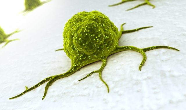 Tricking Tumors With Targeted Nanocarriers