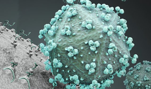 Locking Up HIV To Keep AIDS Under Control