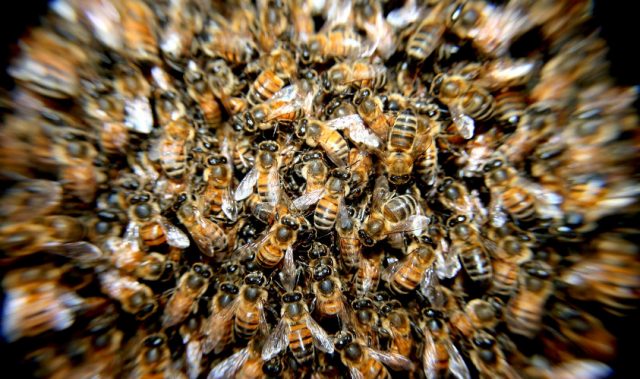 The Downsides Of Too Much Social Interaction