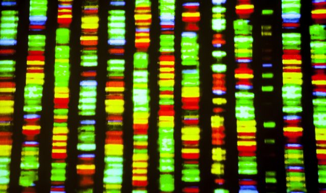 RNA Editing Makes Humans Complex